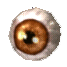 Orbb's Eye